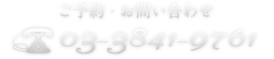 03-3841-9761